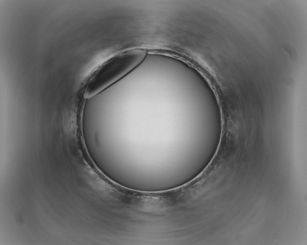 X0000112791456200909041402