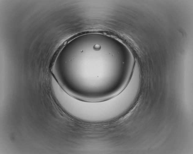 X0000112791457200909041402