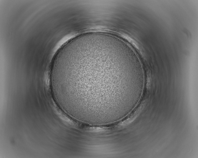 X0000112791458200909041402