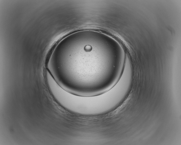 X0000112791461200909041402