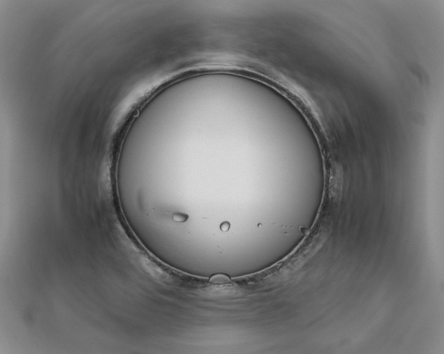 X0000112791464200909041402