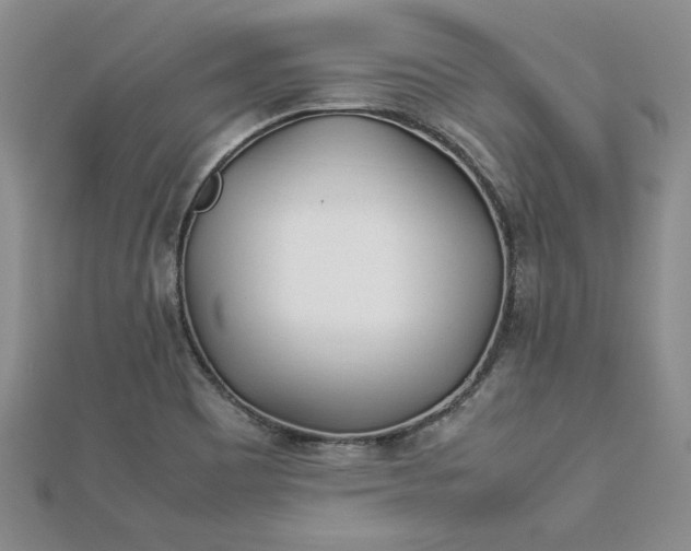 X0000112791465200909041402