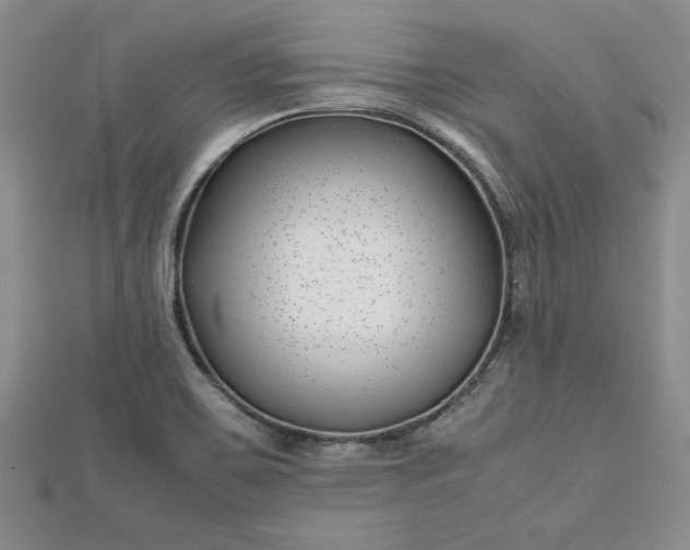 X0000112791467200909041402