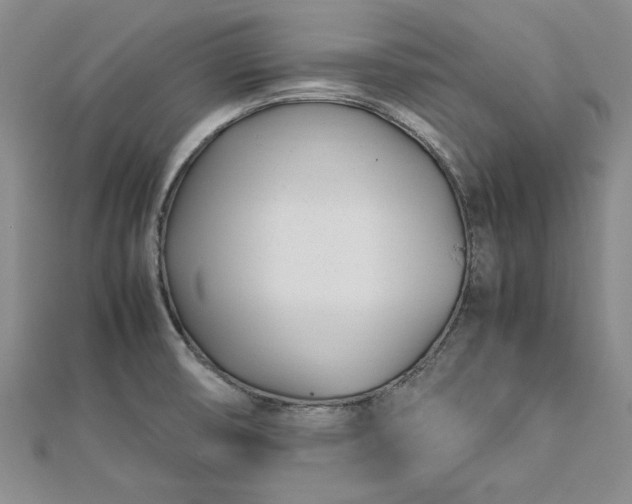 X0000112791474200909041402