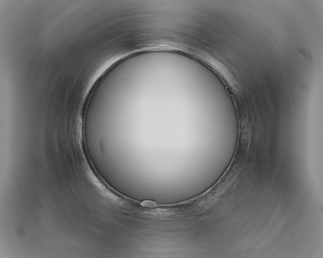 X0000112791476200909041402