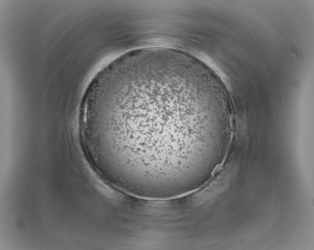 X0000112791477200909041402