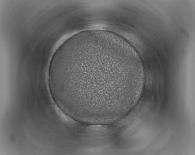 X0000112791478200909041402