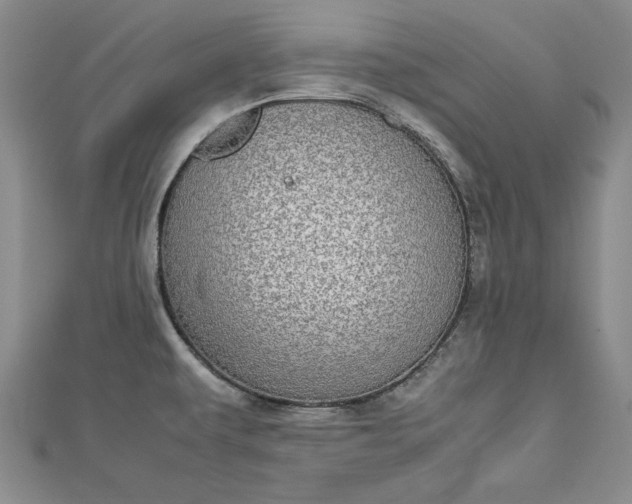 X0000112791479200909041402