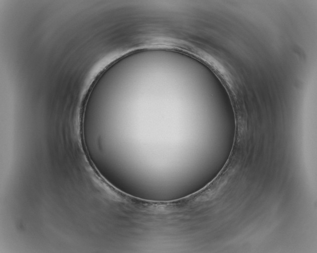 X0000112791480200909041402