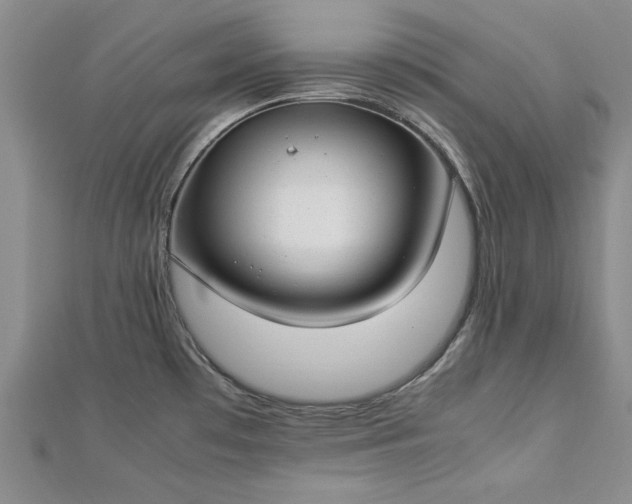 X0000112791481200909041402