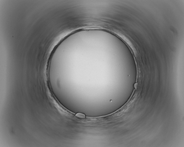 X0000112791485200909041402