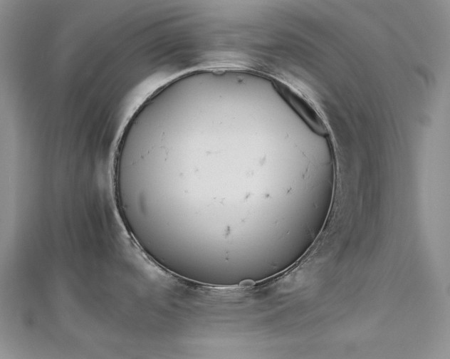 X0000112791488200909041402