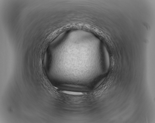 X0000112791489200909041401