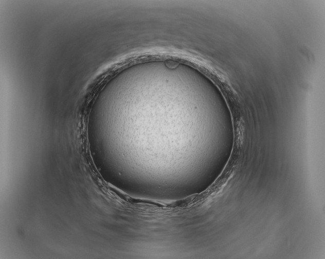 X0000112791494200909041401