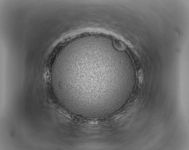 X0000112791495200909041401