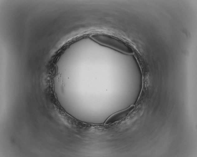 X0000112791496200909041401