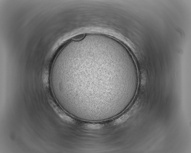 X0000112791499200909041401