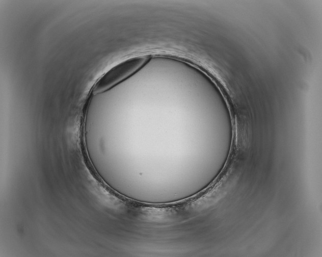 X0000112791500200909041401