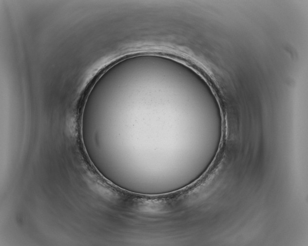 X0000112791501200909041401