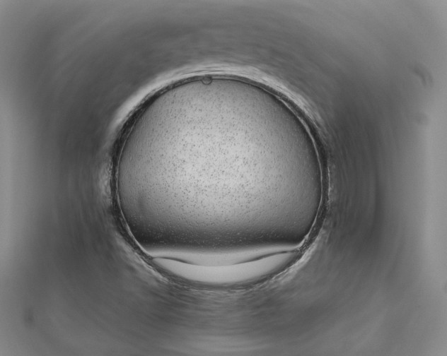 X0000112791502200909041401