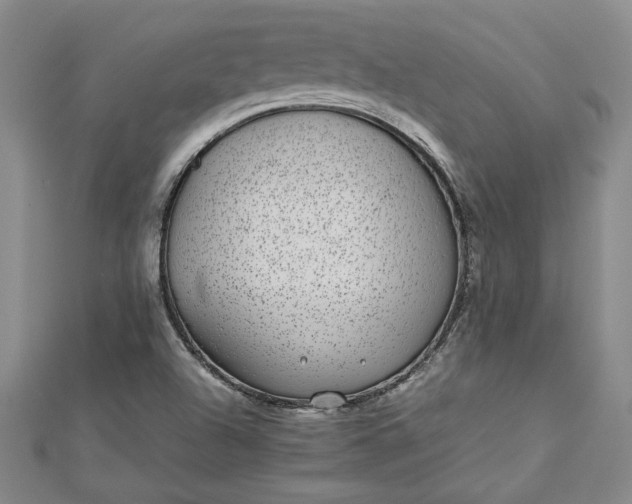 X0000112791504200909041401