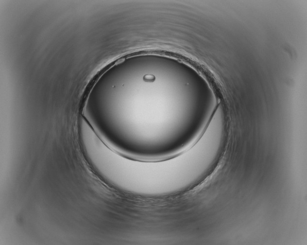 X0000112791505200909041401