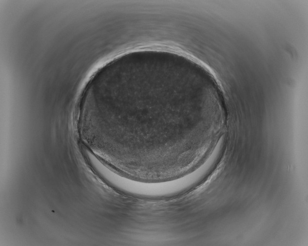 X0000112791506200909041401