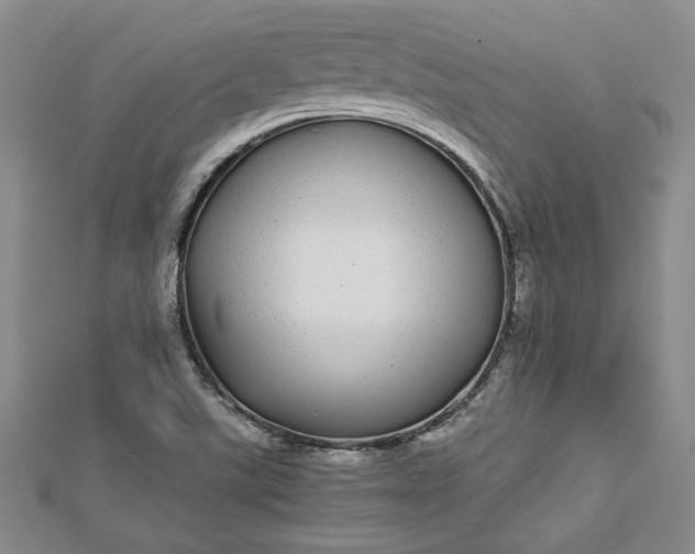 X0000112791507200909041401