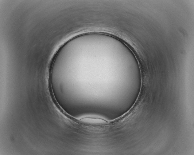 X0000112791508200909041401