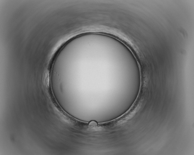 X0000112791509200909041401