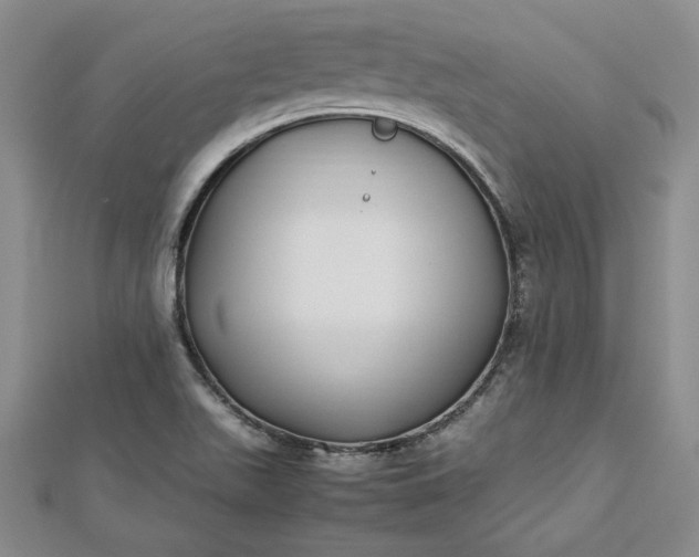 X0000112791511200909041401