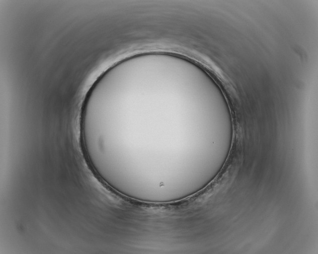 X0000112791512200909041401