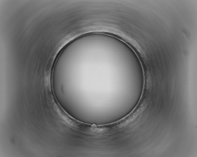 X0000112791513200909041401