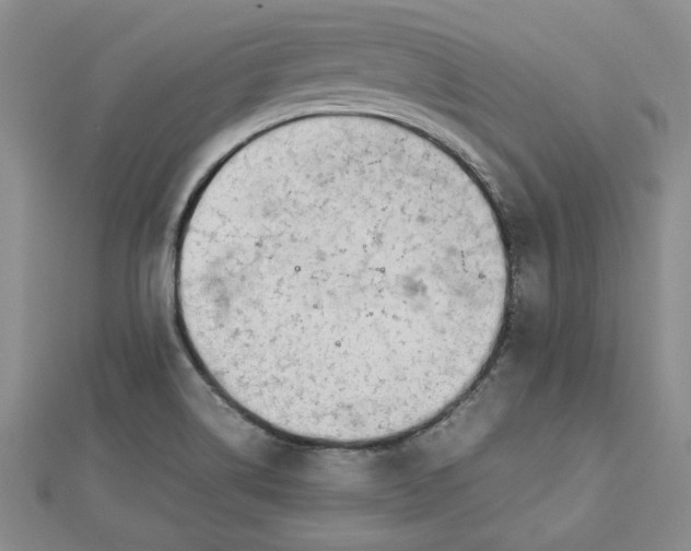 X0000112791514200909041401