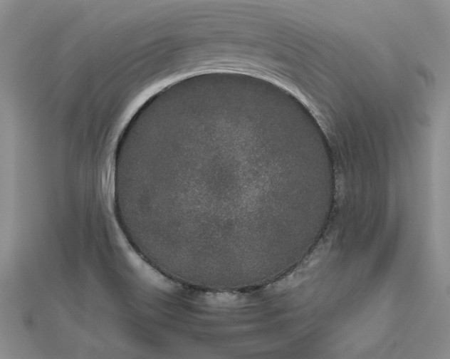 X0000112791515200909041401