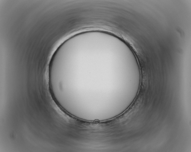 X0000112791516200909041401