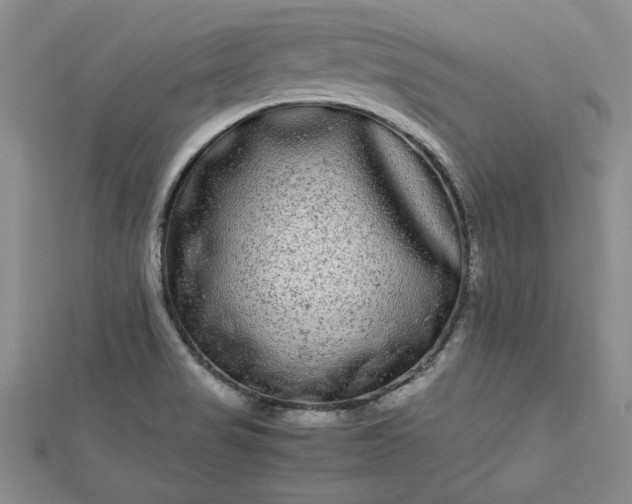 X0000112791517200909041401