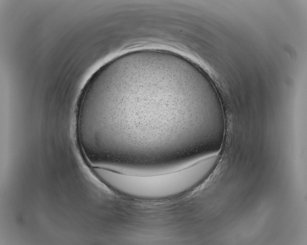 X0000112791518200909041401