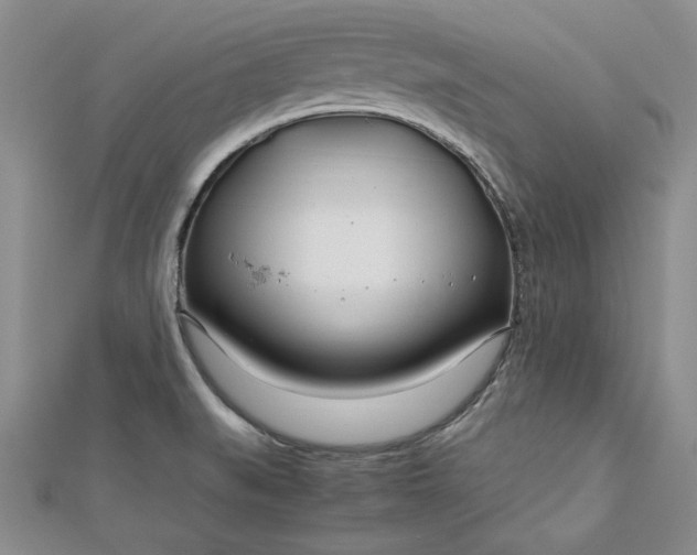 X0000112791519200909041401