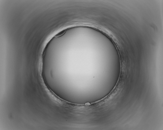 X0000112791520200909041401