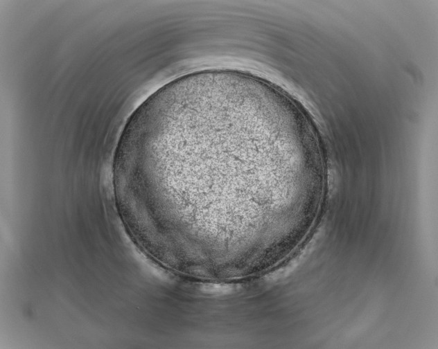 X0000112791521200909041401