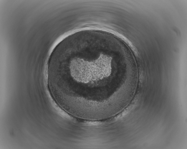 X0000112791522200909041401