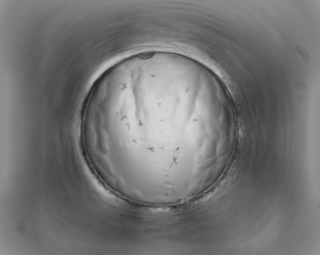 X0000112791523200909041401