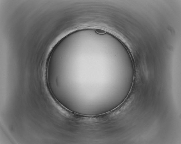 X0000112791525200909041401