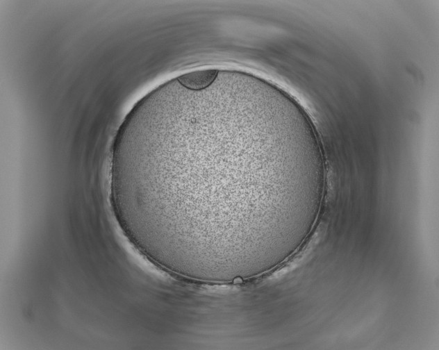 X0000112791526200909041401