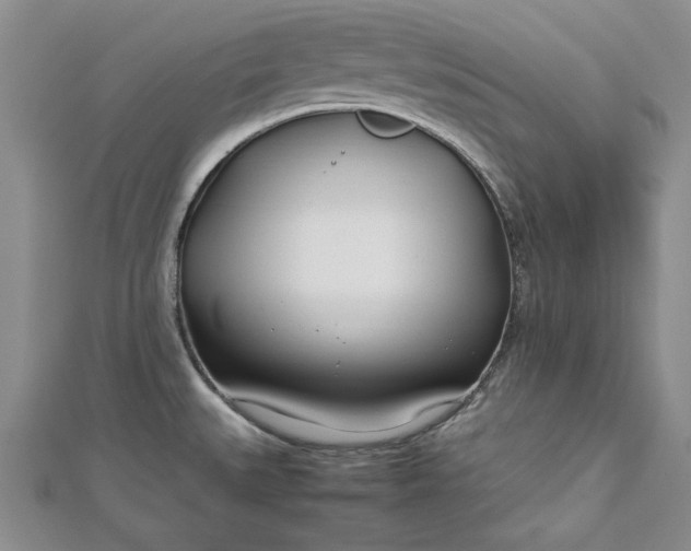 X0000112791527200909041401