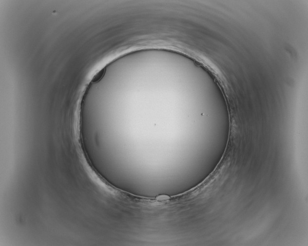 X0000112791528200909041401