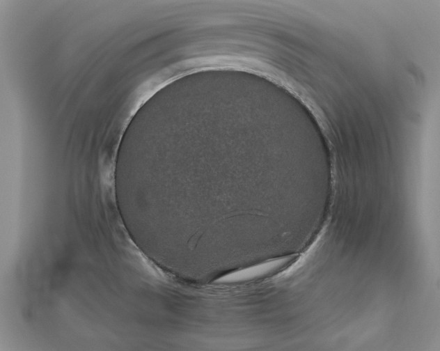 X0000112791529200909041401