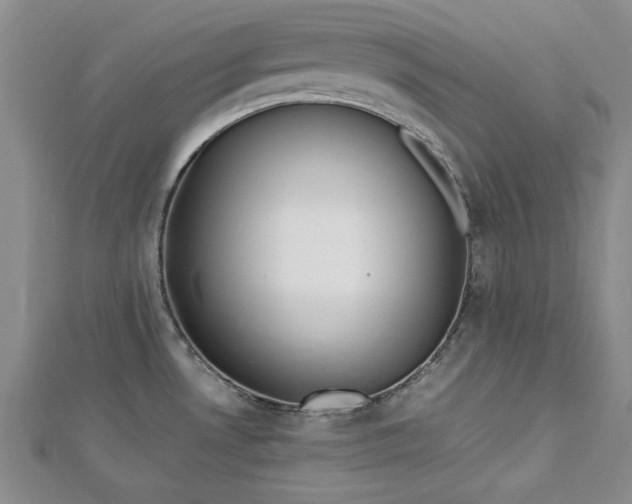 X0000112791530200909041401