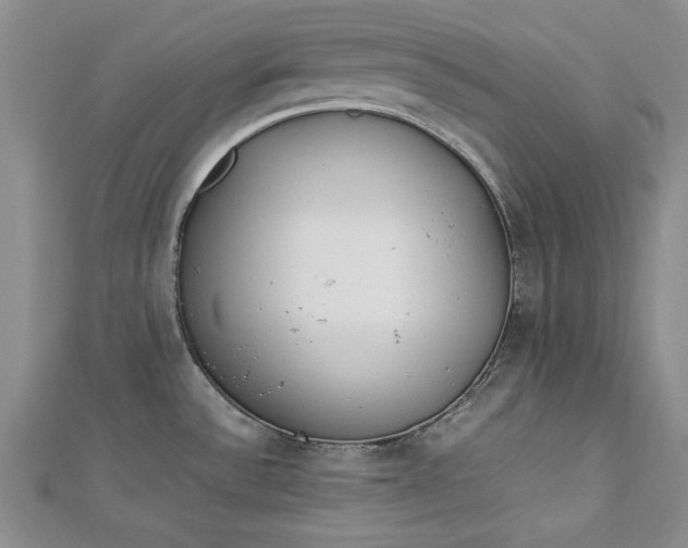 X0000112791532200909041402